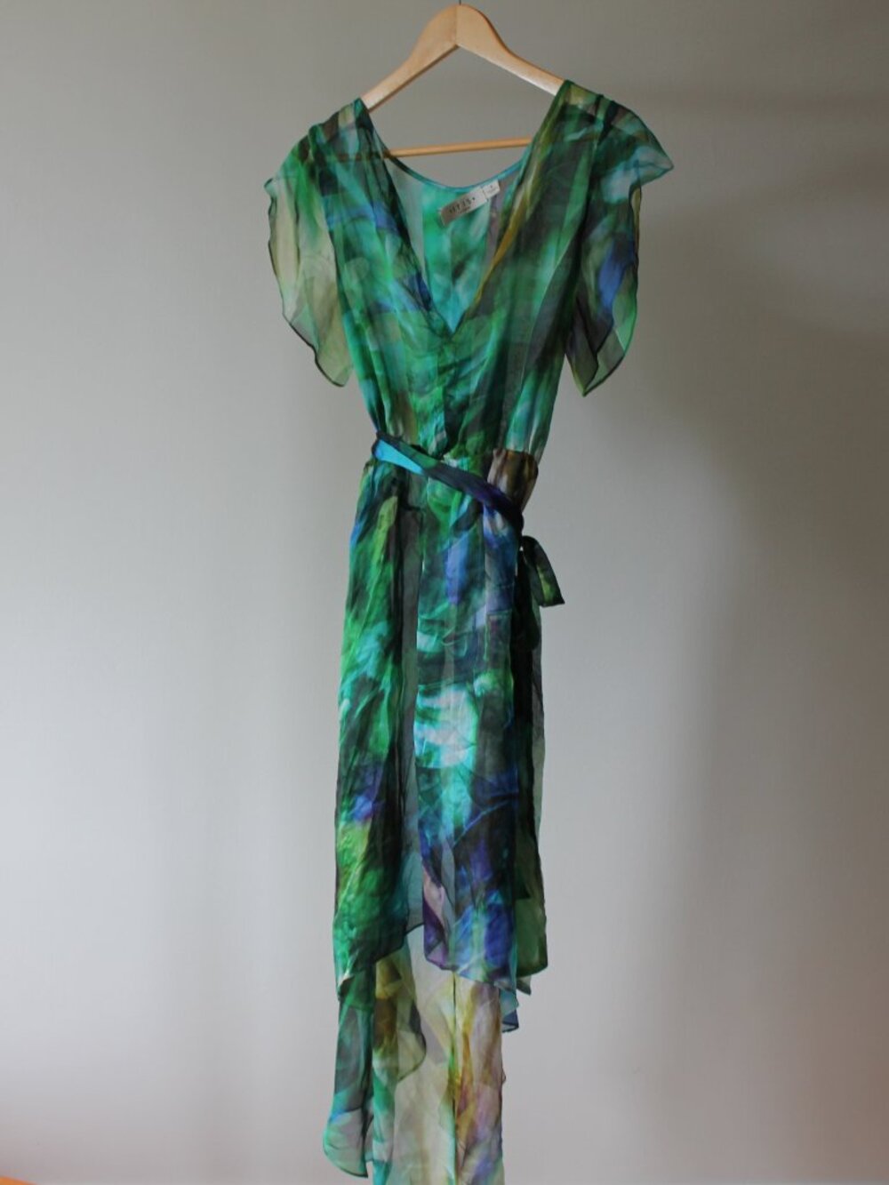 Iris Setlakwe Sheer Dress